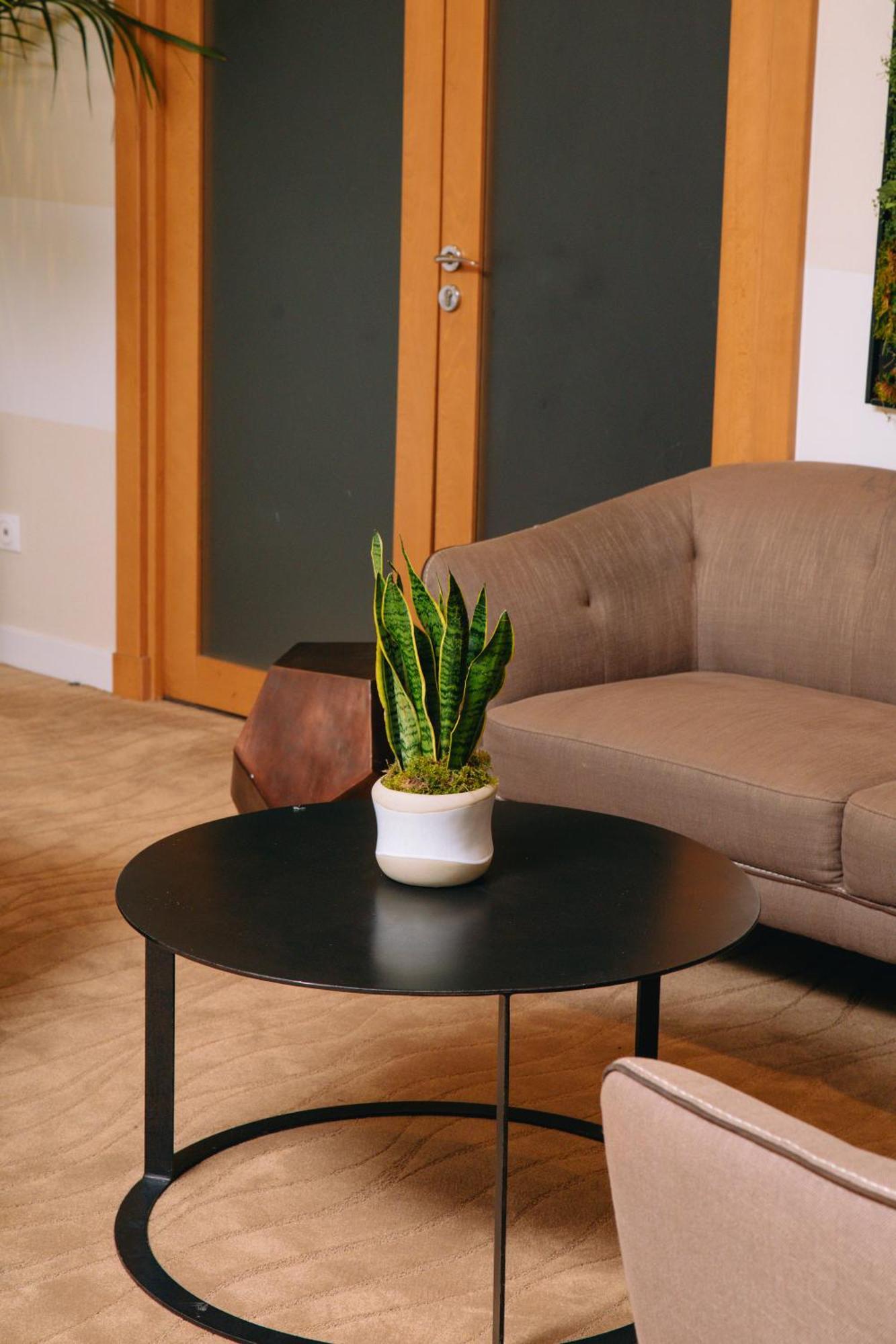 Fraser Suites Paris La Defense Курбьовоа Екстериор снимка Sansevieria trifasciata